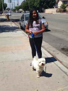 Jackieys sister walking Habiby